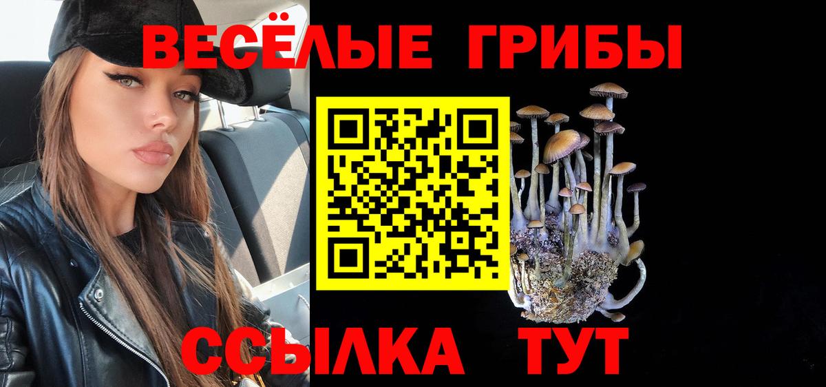 Ирбит  Галлюциногенные грибы Psilocybe  Вход с VPN 